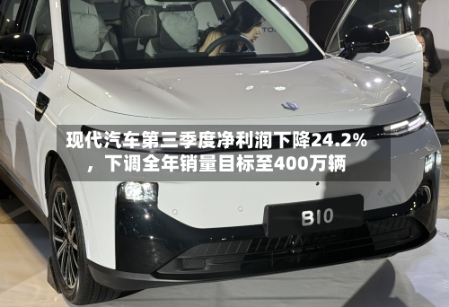 现代汽车第三季度净利润下降24.2%	，下调全年销量目标至400万辆-第3张图片