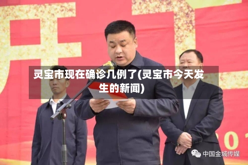 灵宝市现在确诊几例了(灵宝市今天发生的新闻)