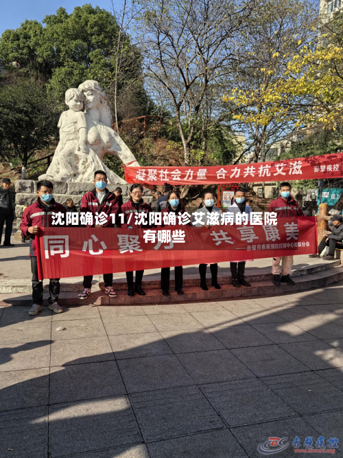 沈阳确诊11/沈阳确诊艾滋病的医院有哪些-第2张图片