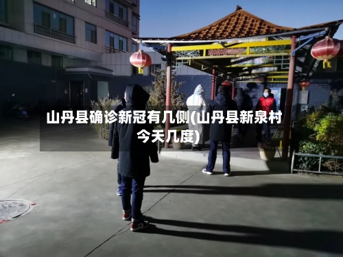 山丹县确诊新冠有几侧(山丹县新泉村今天几度)