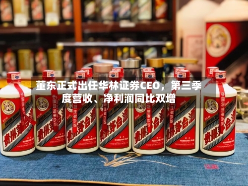 董东正式出任华林证券CEO，第三季度营收、净利润同比双增-第3张图片