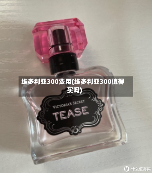 维多利亚300费用(维多利亚300值得买吗)-第2张图片