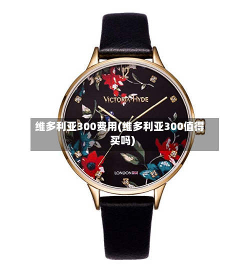 维多利亚300费用(维多利亚300值得买吗)-第3张图片