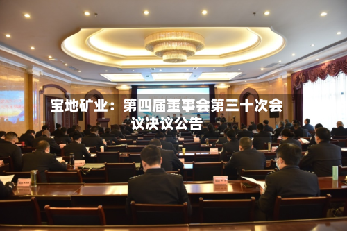 宝地矿业:第四届董事会第三十次会议决议公告