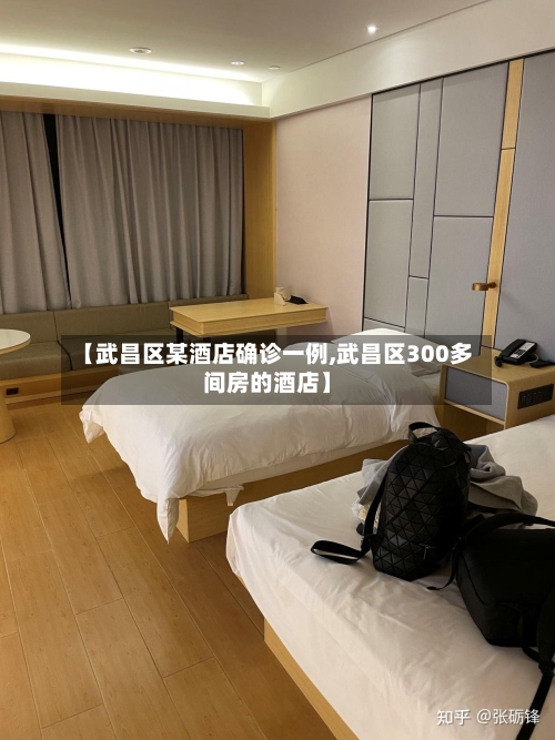 【武昌区某酒店确诊一例,武昌区300多间房的酒店】-第2张图片