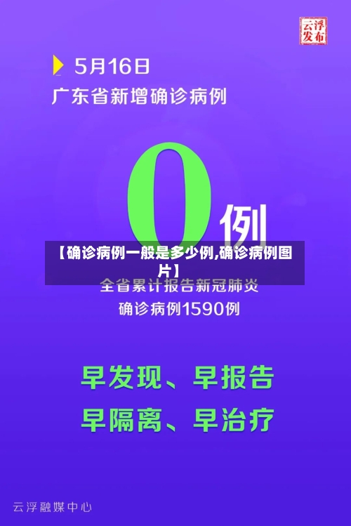 【确诊病例一般是多少例,确诊病例图片】