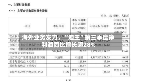海外业务发力，“迪王	”第三季度净利润同比增长超28%-第2张图片