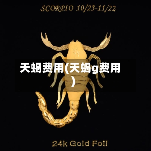 天蝎费用(天蝎g费用)