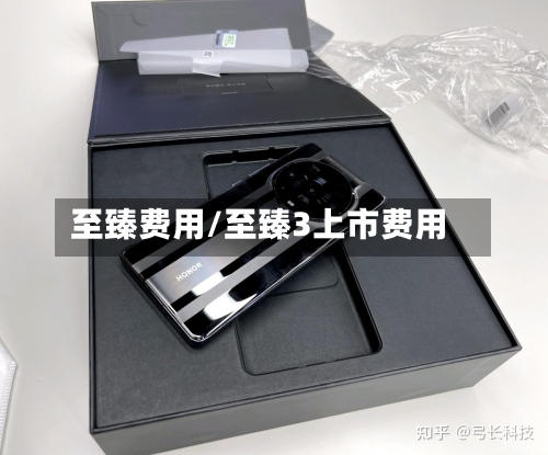 至臻费用/至臻3上市费用-第3张图片