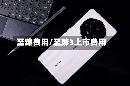 至臻费用/至臻3上市费用-第1张图片