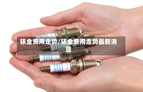 铱金费用走势/铱金费用走势最新消息-第2张图片