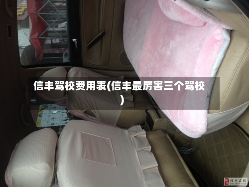 信丰驾校费用表(信丰最厉害三个驾校)