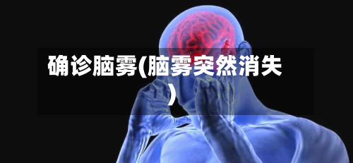 确诊脑雾(脑雾突然消失)