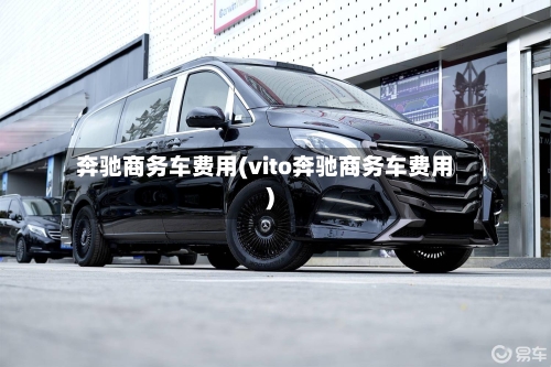 奔驰商务车费用(vito奔驰商务车费用)-第2张图片