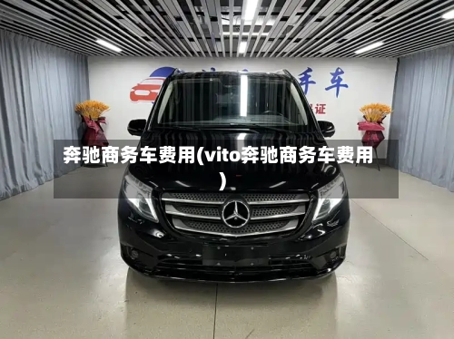 奔驰商务车费用(vito奔驰商务车费用)-第3张图片