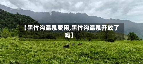 【黑竹沟温泉费用,黑竹沟温泉开放了吗】