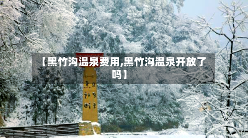 【黑竹沟温泉费用,黑竹沟温泉开放了吗】-第2张图片
