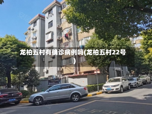 龙柏五村有确诊病例吗(龙柏五村22号)-第1张图片