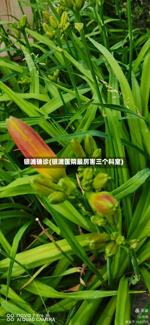 银滩确诊(银滩医院最厉害三个科室)