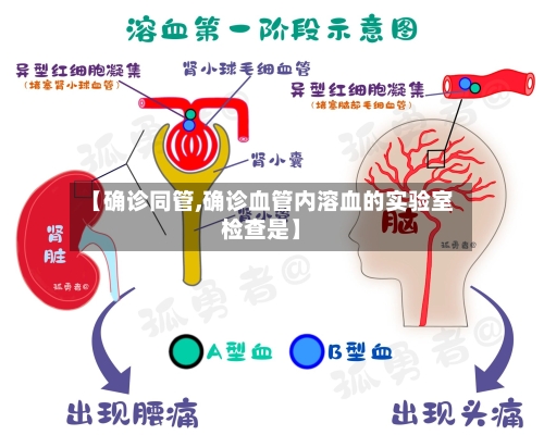 【确诊同管,确诊血管内溶血的实验室检查是】-第3张图片