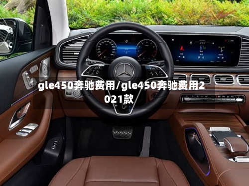 gle450奔驰费用/gle450奔驰费用2021款-第2张图片