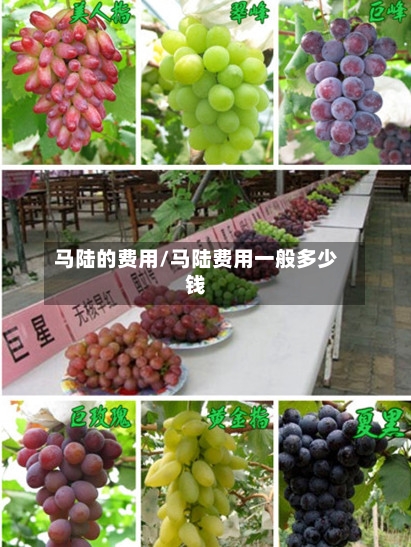 马陆的费用/马陆费用一般多少钱-第1张图片