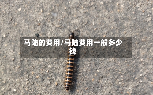 马陆的费用/马陆费用一般多少钱-第3张图片
