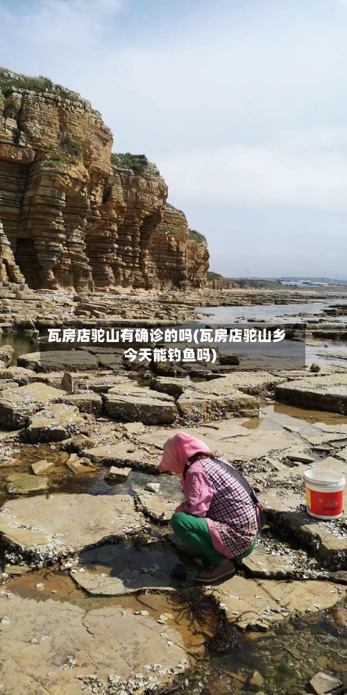 瓦房店驼山有确诊的吗(瓦房店驼山乡今天能钓鱼吗)