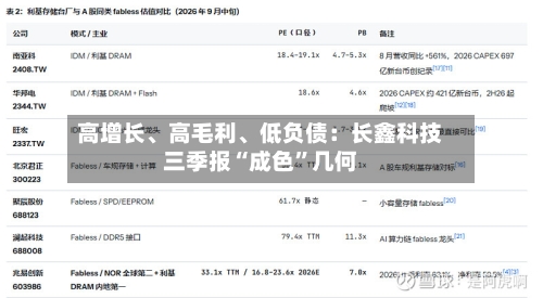 高增长	、高毛利、低负债：长鑫科技三季报“成色”几何-第3张图片