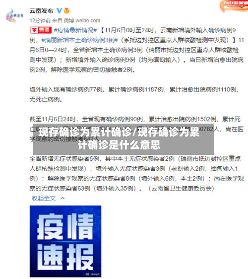 现存确诊为累计确诊/现存确诊为累计确诊是什么意思-第2张图片