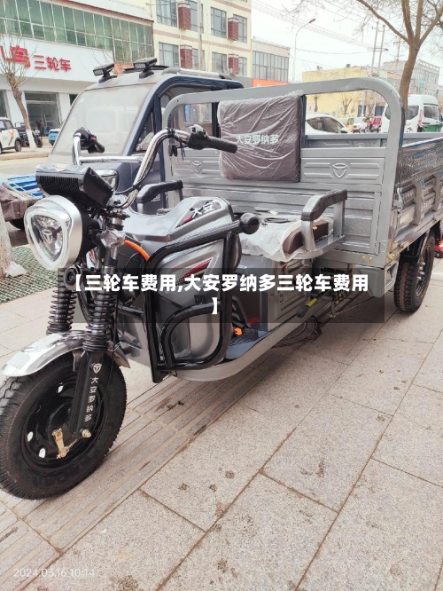 【三轮车费用,大安罗纳多三轮车费用】-第2张图片