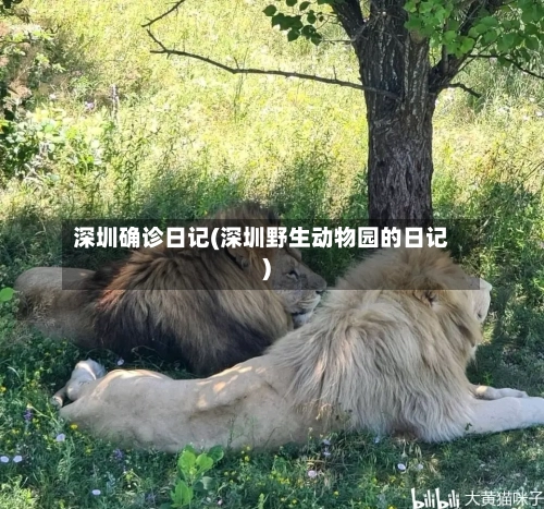 深圳确诊日记(深圳野生动物园的日记)
