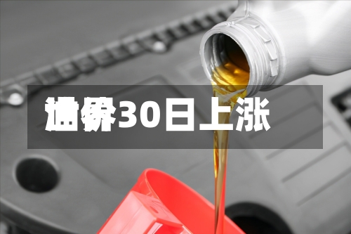 世界
油价30日上涨