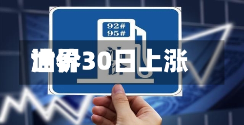 世界
油价30日上涨-第2张图片