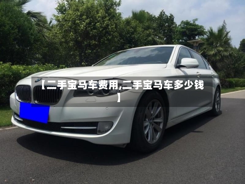 【二手宝马车费用,二手宝马车多少钱】-第2张图片