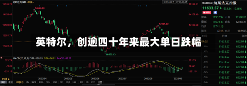 英特尔	，创逾四十年来最大单日跌幅-第3张图片