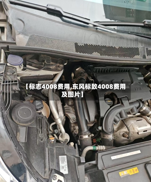 【标志4008费用,东风标致4008费用及图片】