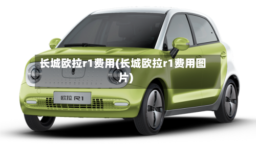 长城欧拉r1费用(长城欧拉r1费用图片)