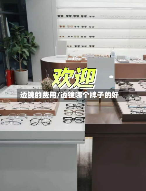 透镜的费用/透镜哪个牌子的好-第2张图片