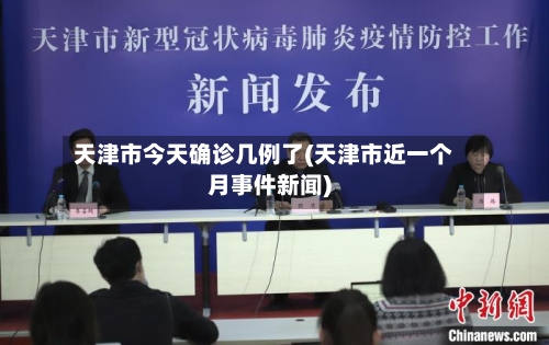 天津市今天确诊几例了(天津市近一个月事件新闻)-第2张图片