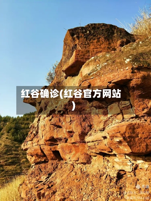 红谷确诊(红谷官方网站)-第2张图片