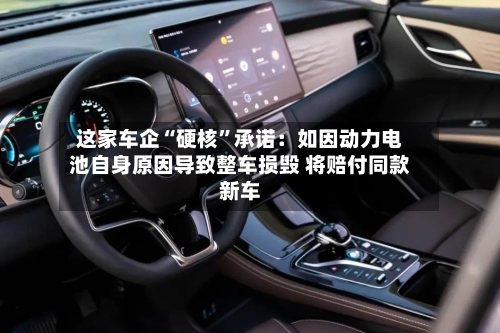 这家车企“硬核”承诺：如因动力电池自身原因导致整车损毁 将赔付同款新车