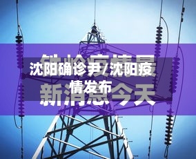 沈阳确诊尹/沈阳疫情发布-第2张图片