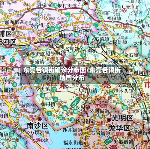东莞各镇街确诊分布图/东莞各镇街地图分布
