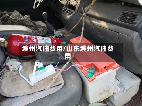 滨州汽油费用/山东滨州汽油费用-第2张图片