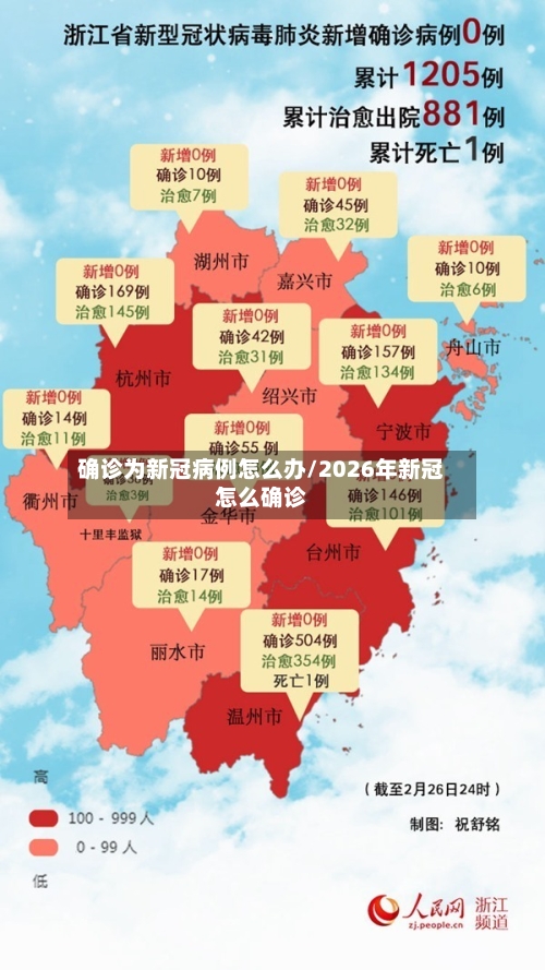 确诊为新冠病例怎么办/2026年新冠怎么确诊-第3张图片