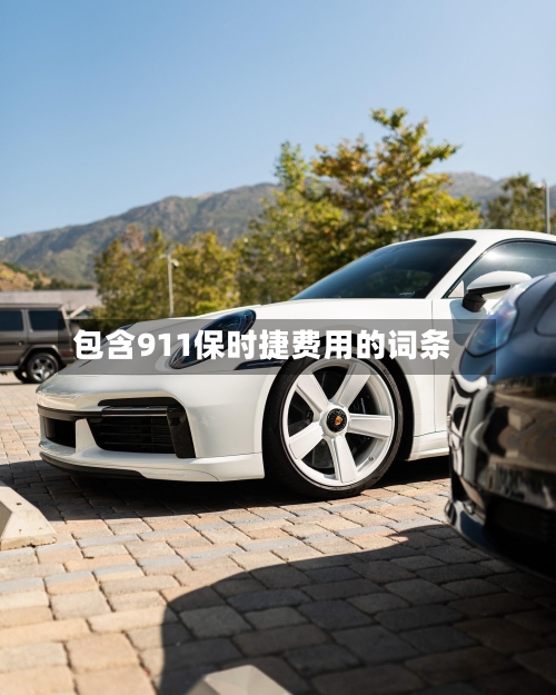 包含911保时捷费用的词条-第3张图片