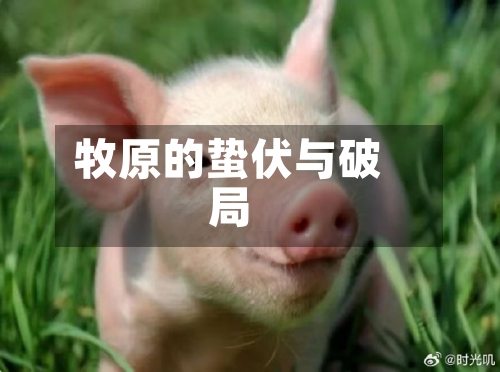 牧原的蛰伏与破局-第2张图片