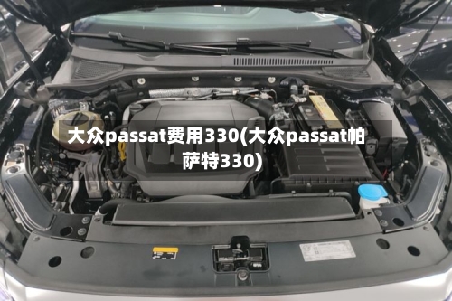大众passat费用330(大众passat帕萨特330)