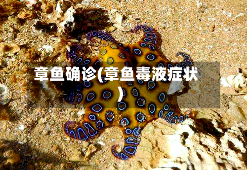 章鱼确诊(章鱼毒液症状)